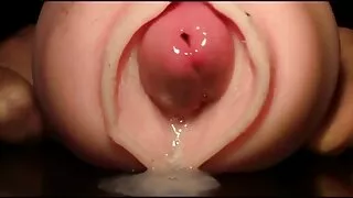 আকর্ষণীয় ল্যাটিন মে ...