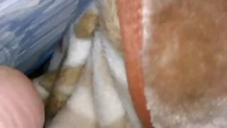 অ্যাঞ্জি স্যাভেজ তার ...