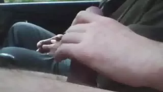 শৃঙ্গাকার স্বর্ণকেশী ...