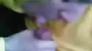 মোরগ bitches জন্য ক্ ...
