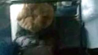 আবেগপ্রবণ ক্যারোলিনা ...
