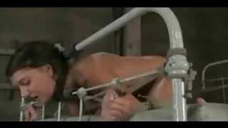 স্বর্ণকেশী ট্রলপ মের ...