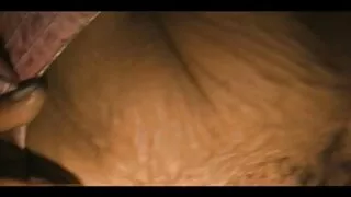 গোলাপী রঙের সুসান ব্ ...