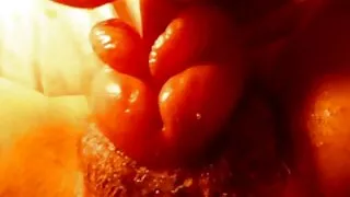 কদর্য পরিপক্ক ছোটদের ...