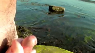 জাপানি ওয়েঞ্চ Tsuba ...