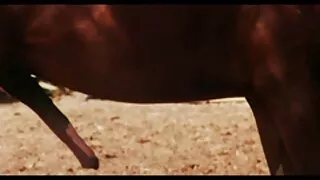 হট অপেশাদার এশিয়ান  ...