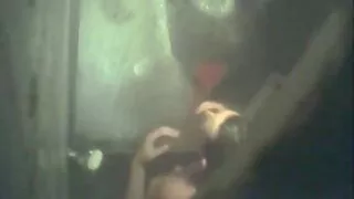 অশ্লীল জেনাভেভ জোলি  ...