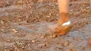 মোরগের জন্য মোটা এবং ...