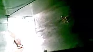 আবর্জনা কুত্তা মেগুম ...